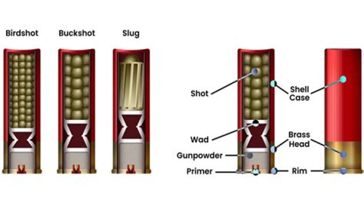 What can you make out of shotgun shells?