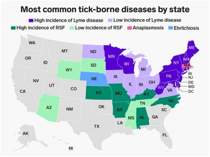 What countries have Lyme disease?