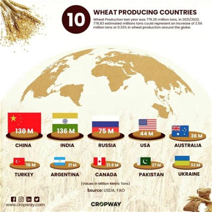 What country grows the most grain?