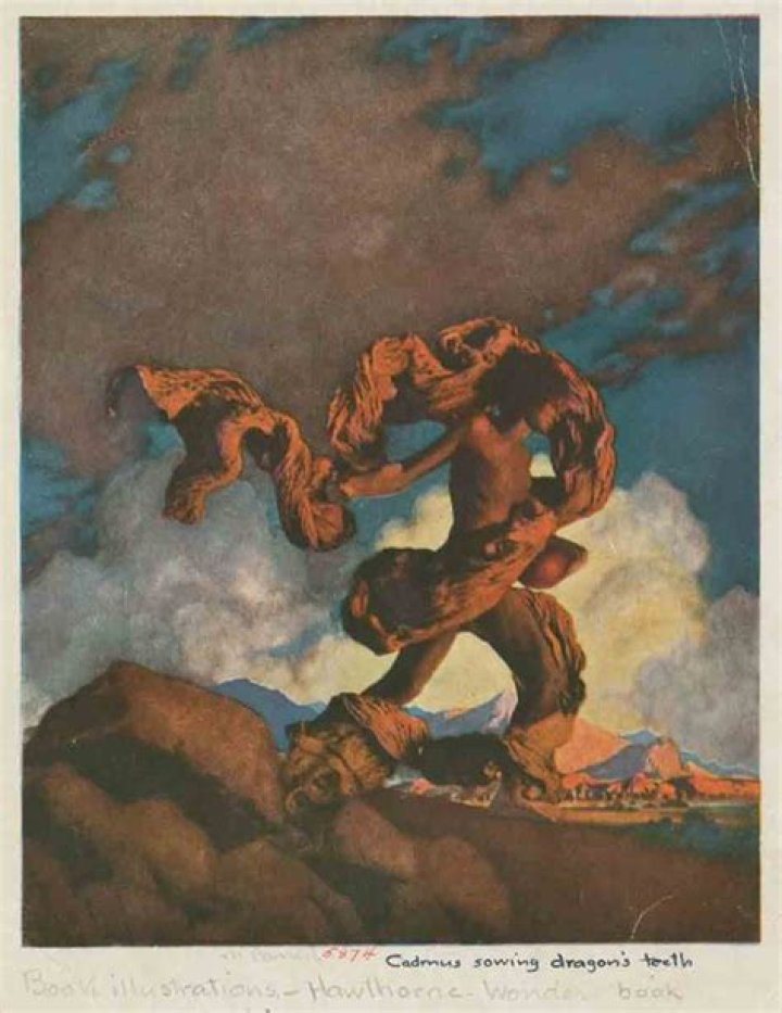 What did Cadmus use dragon teeth for?