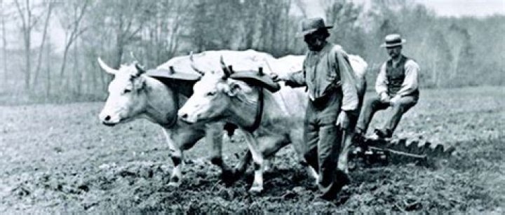 What did farmers do in the late 1800s?