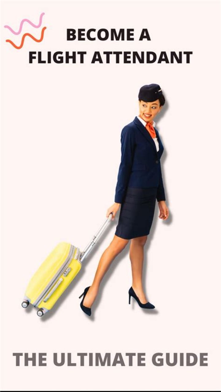 What do you study to be a flight attendant?