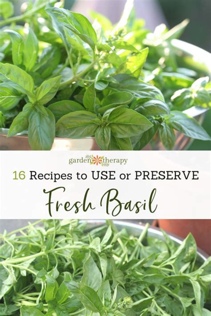 What do you use fresh basil for?
