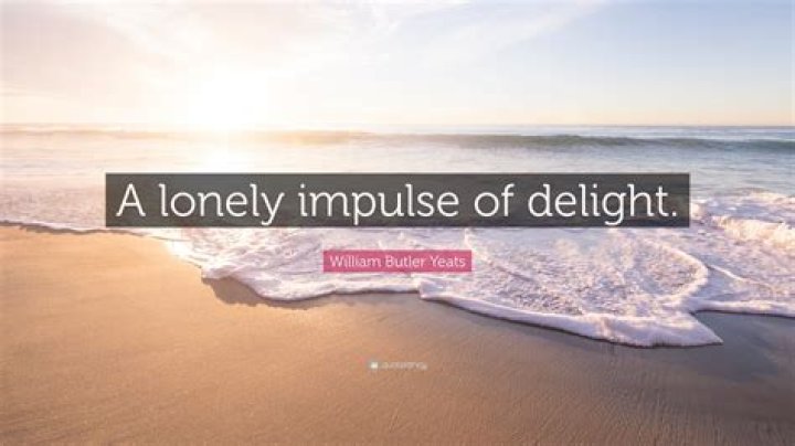 What does a lonely impulse of delight mean?