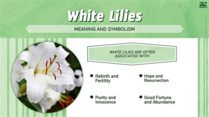 What does a white Easter lily mean?