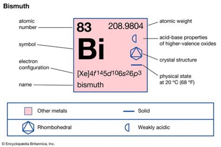 What does BI in biology mean?