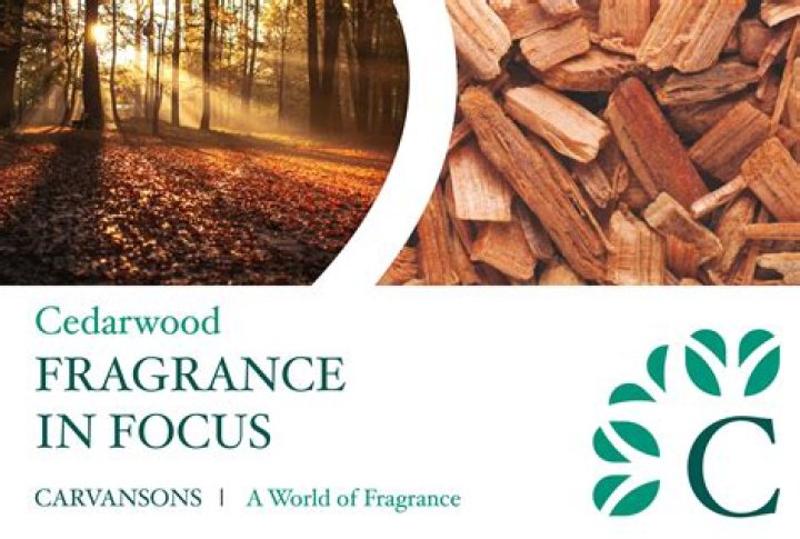 What does cedar smell like?