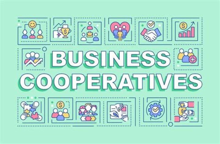 What does cooperative attitude mean?