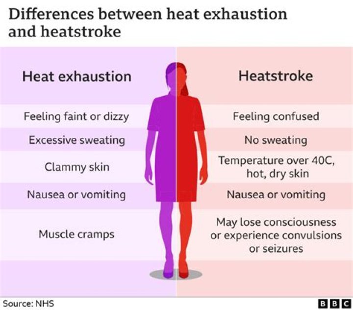 What does heat loss mean?