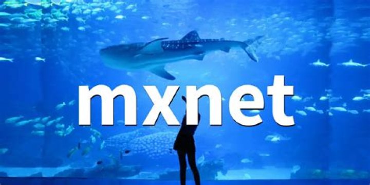 What does MXNet stand for?