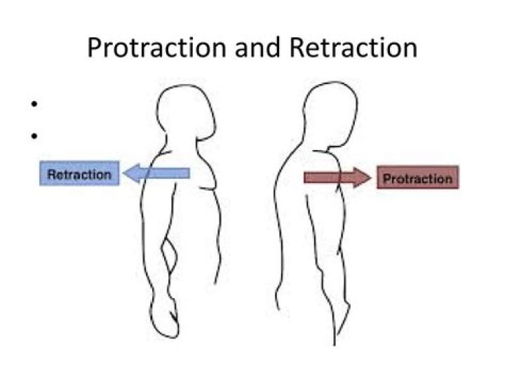 What does protraction mean in medical terms?