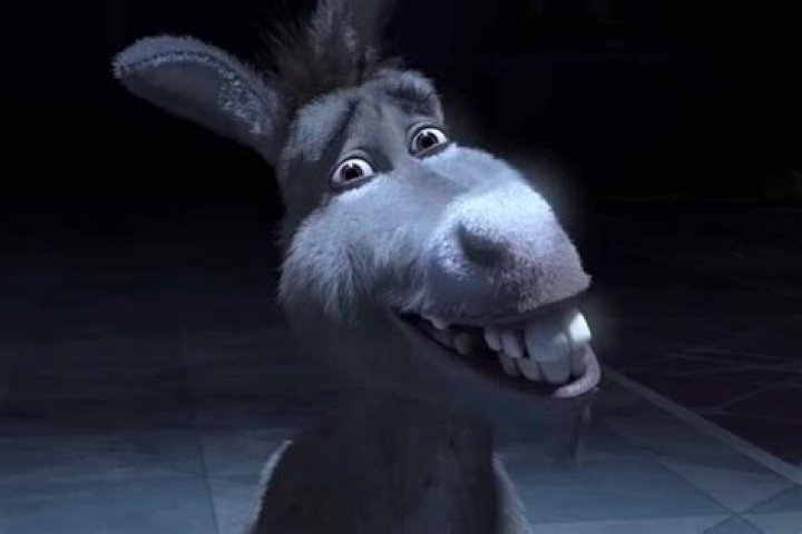 What does Shrek say to donkey after they cross the bridge?