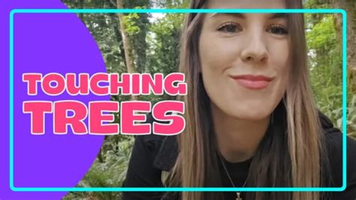 What does the forest smell like?