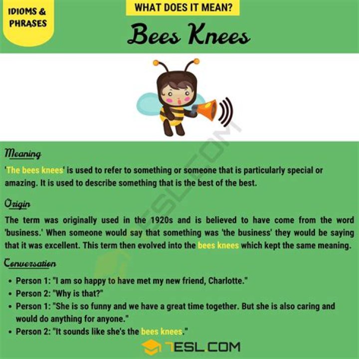 What does the idiom the bee's knees mean?