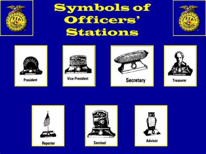 What does the parliamentarian do in FFA?