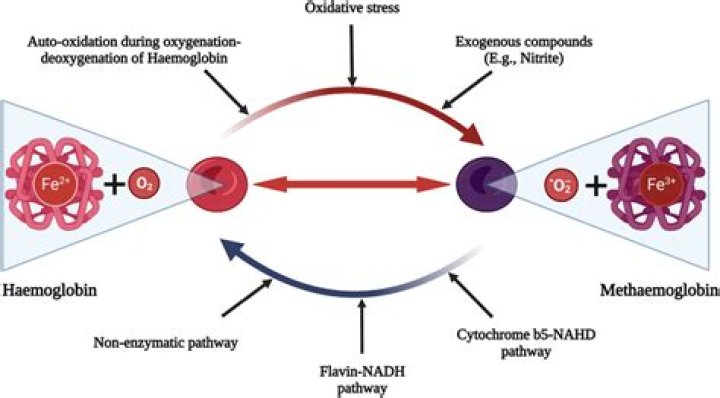 What enzyme converts methemoglobin to hemoglobin?