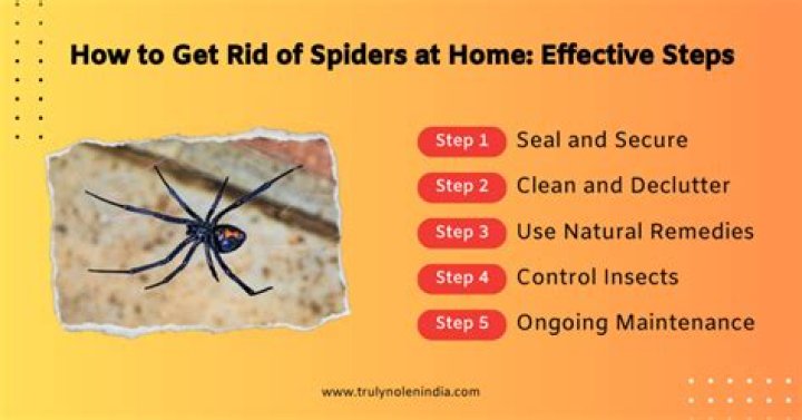 What essential oils are good for getting rid of spiders?