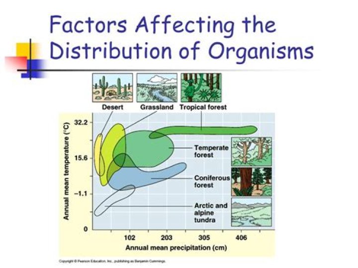 What factors affect the distribution of organisms?