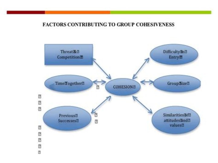 What factors contribute to group cohesion?
