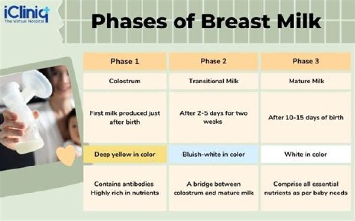 What glands in the breast produce milk to nurse an infant?