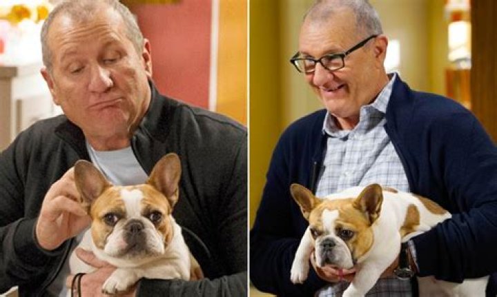 What happened to Stella in Modern Family?