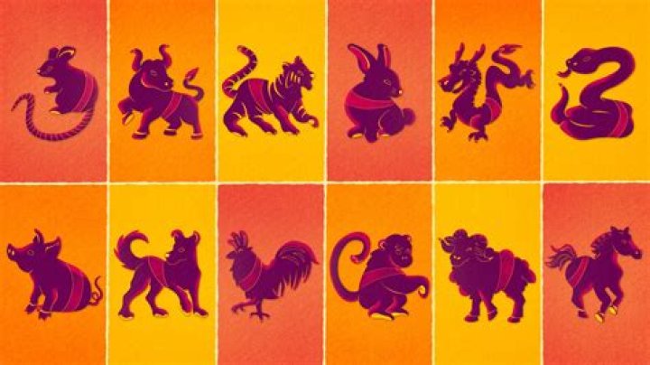 What happens in the end of the House of the Scorpion?