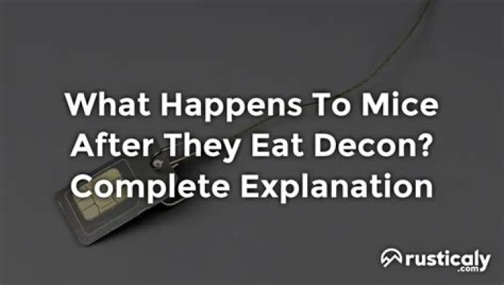 What happens to mice after eating decon?