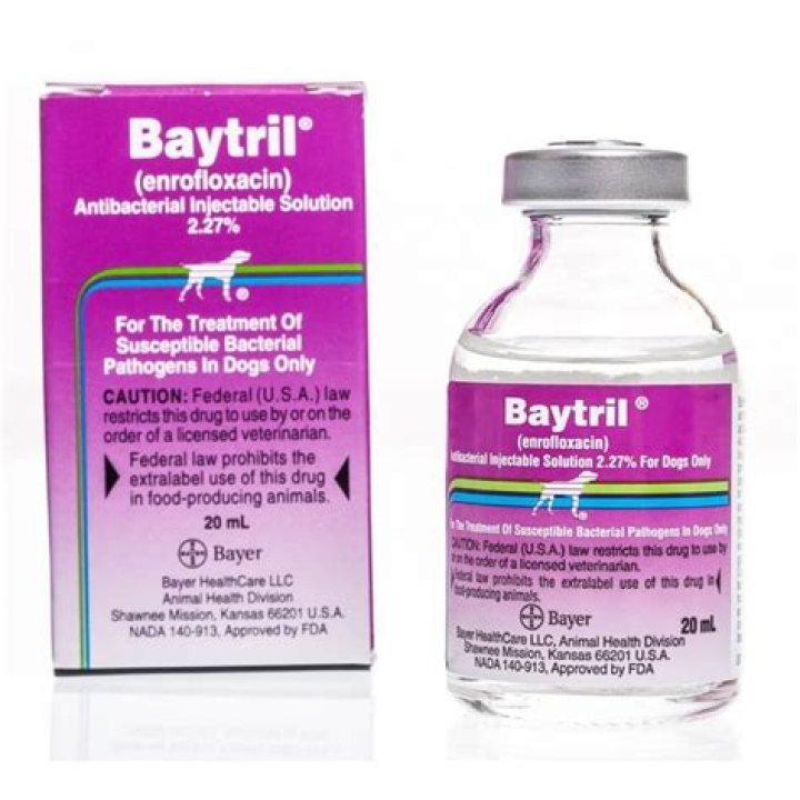 What is a Baytril injection for dogs?