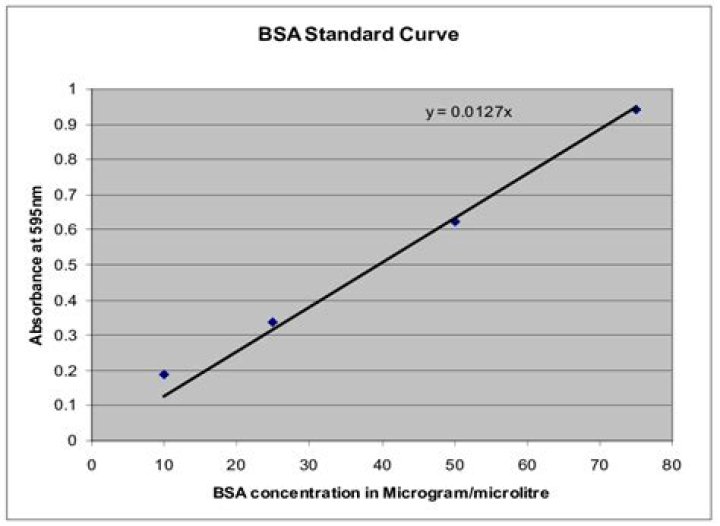 What is a BSA standard curve?