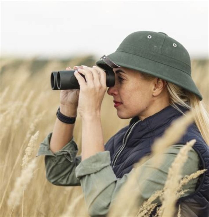What is a field observation?