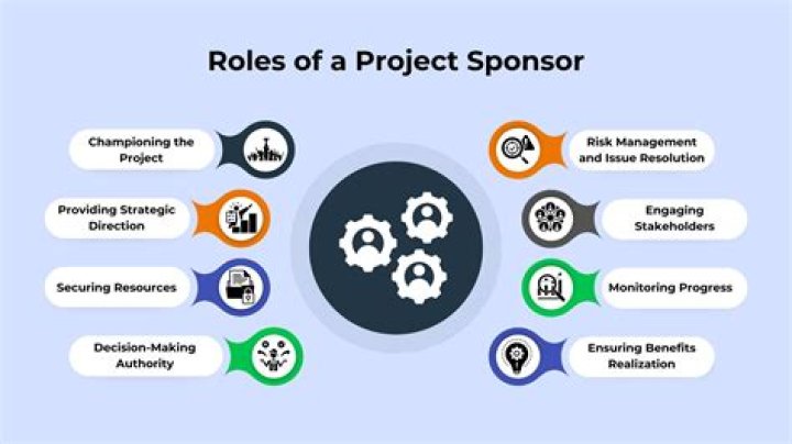 What is a project sponsor in project management?