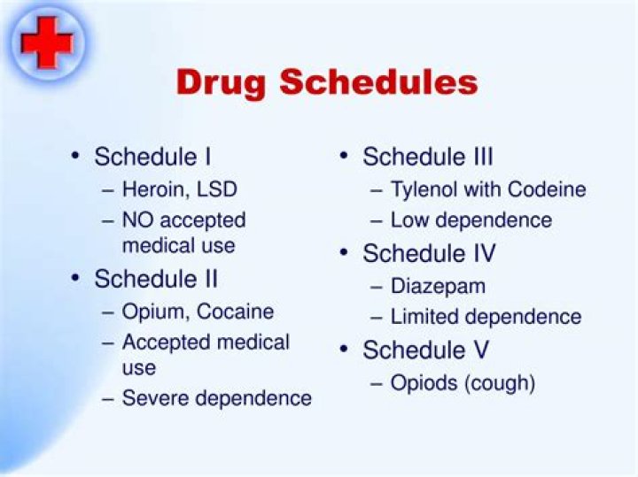 What is a Schedule 1 drug in Georgia?