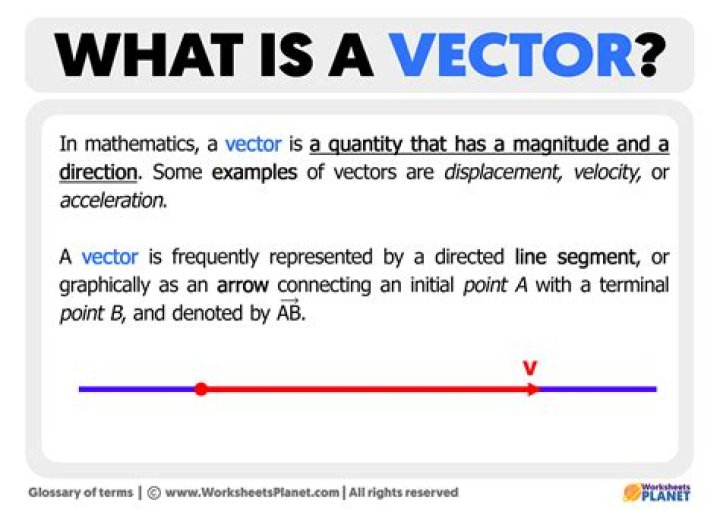 What is a vector model?