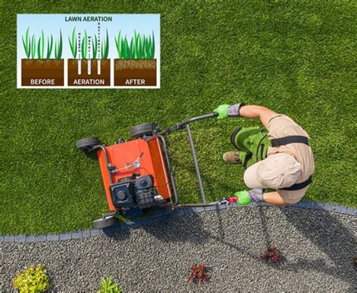 What is a Verticutter used for?