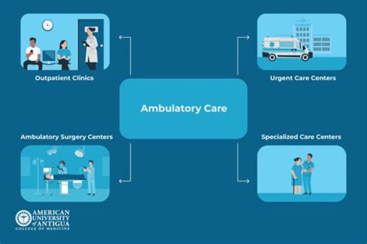 What is an ambulatory summary?
