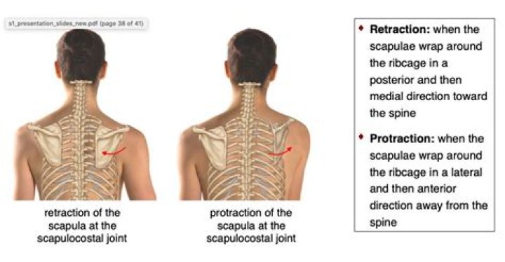 What is an example of protraction?