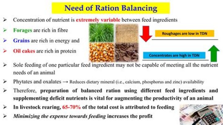What is balanced ration in poultry?