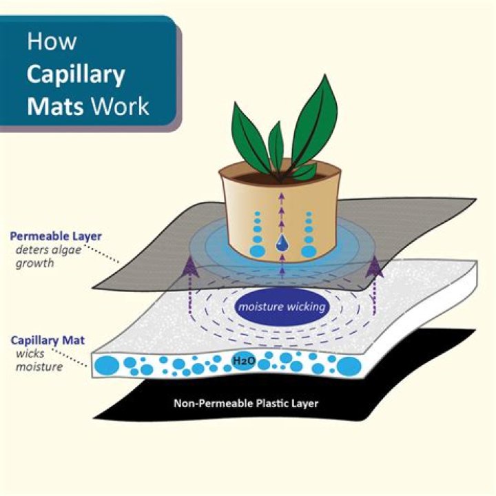 What is capillary matting?