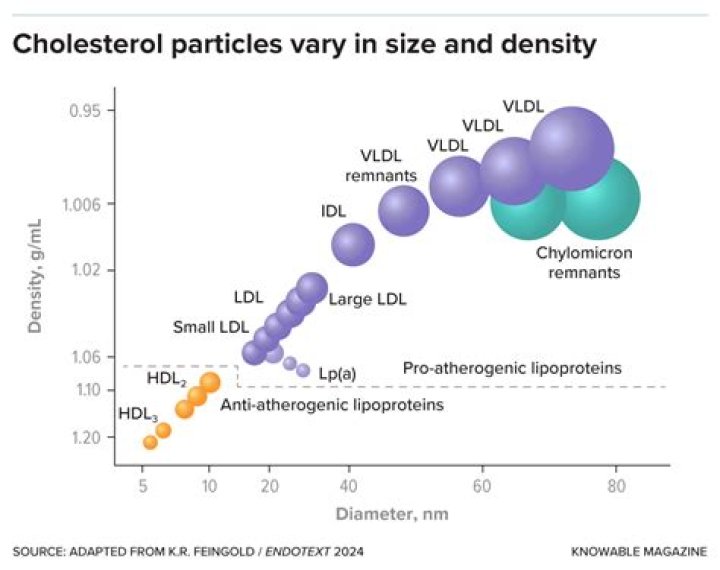 What is cholesterol high density lipoprotein?