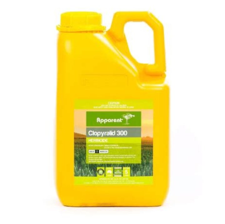 What is clopyralid herbicide?