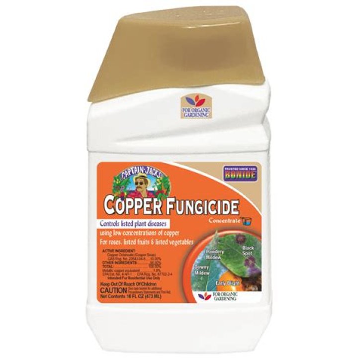 What is copper fungicide good for?