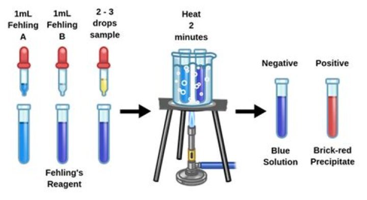 What is Fehling Solution Test?