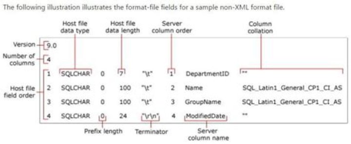 What is format file in SQL?