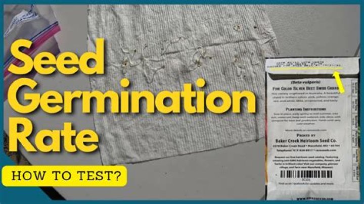 What is germination rate?