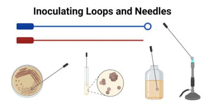 What is inoculation process?