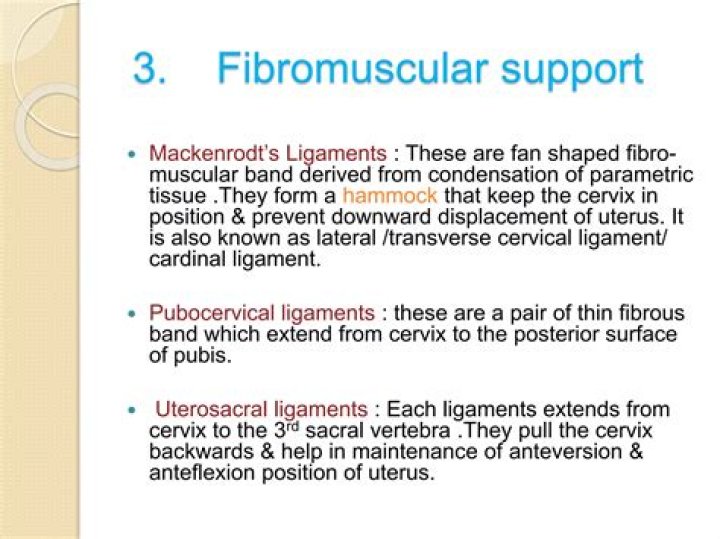 What is mackenrodt's ligament?