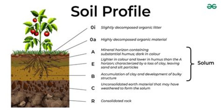 What is Profile soil?