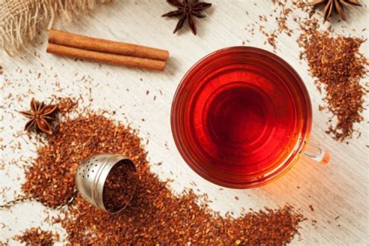 What is red bush tea made from?