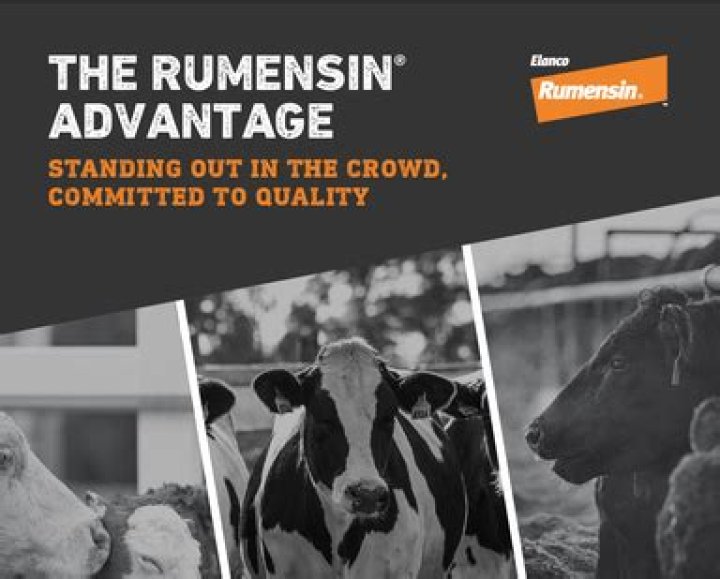 What is rumensin for cattle?