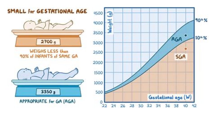 What is Sga_max_size?